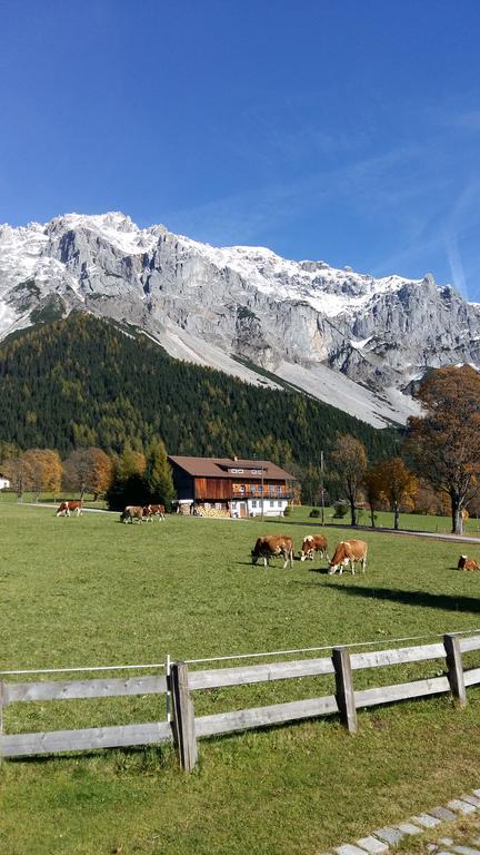 Alpenhaus Birkhahn Hotel Ramsau am Dachstein Eksteriør billede